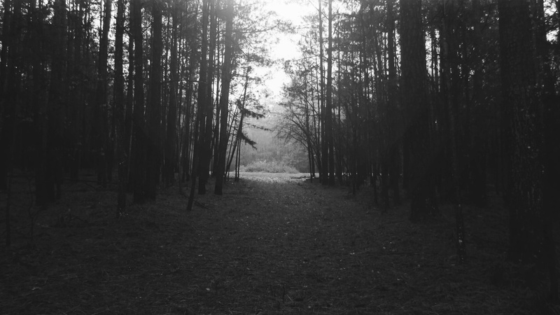 non-urban scene, land, black, the way forward, landscape, trail, no people, tranquil scene, growth, tranquility, plant, white, direction, outdoors, footpath