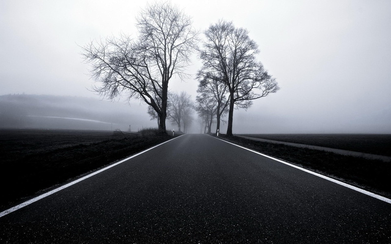 black, 1080P, blacktop, road, black and white, trees, white, nature and landscapes