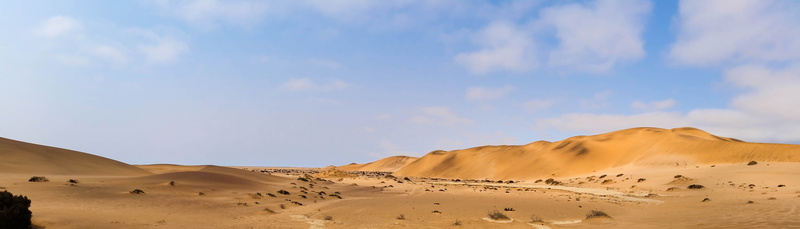 tranquil scene, environment, africa, heiss, mountain, no people, desert, namibia, sand, sand dunes, animal wildlife, climate, scenics - nature, outdoors