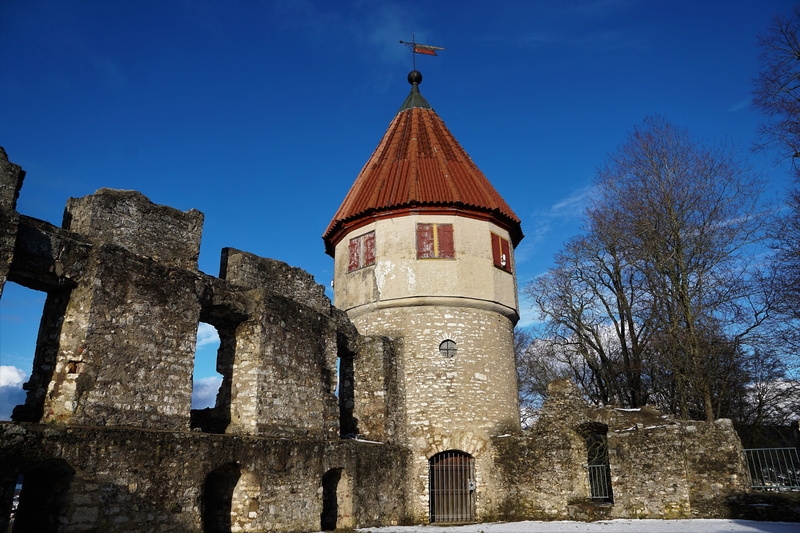 happy, church, animal, day, wall, festival, white, kingdom, places of interest, winter, possession, gothic, honing castle, dog, stone, father, home, bare tree