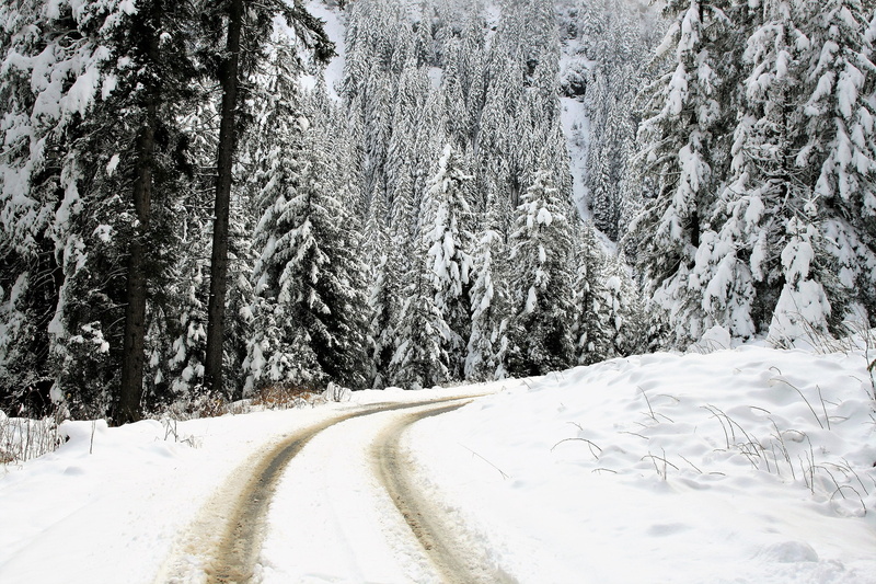 nature, tourism, landscape, non-urban scene, highway, the prospect of, white, forest, tapaty forest, hiking, figure, scenics - nature, winter landscape