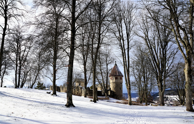 environment, building, tuttlingen, family, human, season, catholic, animal, relaxation, rest, branch, mountain, frost, fairy tales, land, wood, festival