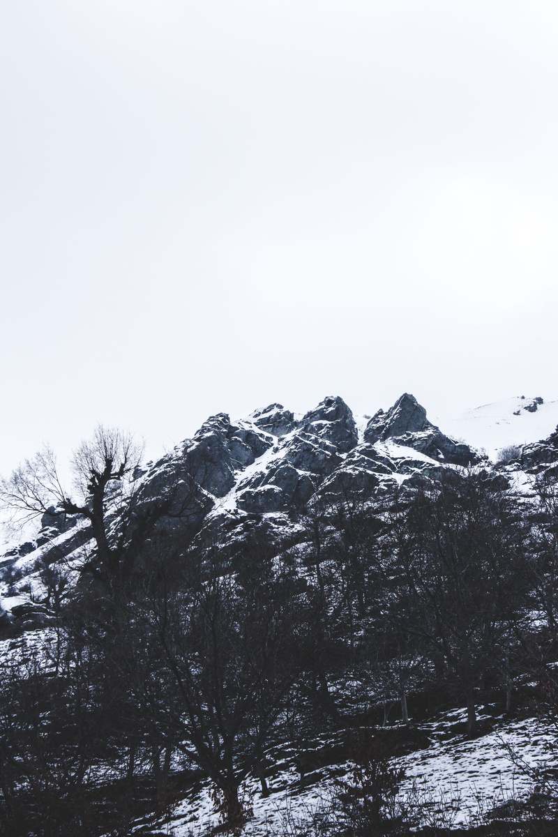 5K, day, non-urban scene, nature, cold temperature, plant, fir, mountain, abies, sky, snow, mountain range, peak, tree, tranquility, mountain peak