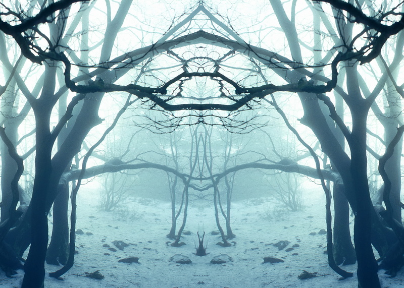 science, white sky, color, scenics - nature, dream, bare, fable, winter, sky, white, fog, growth, snow, digital composite, environment, teutoburg forest