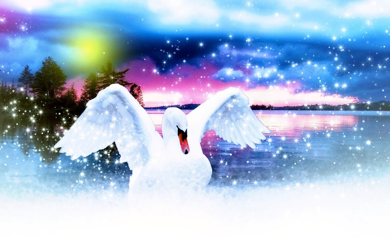 bird, water bird, cold temperature, wing, clothing, swan, outdoors, sage, full length, lake, women, animal, sky, fantasy, white color, nature, white, blue