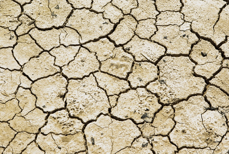 backgrounds, no people, soil, clay, high angle view, dried, desert, 4K, aridity, dirt, textured, barren, full frame, scenics - nature, earth, dry, natural Disaster