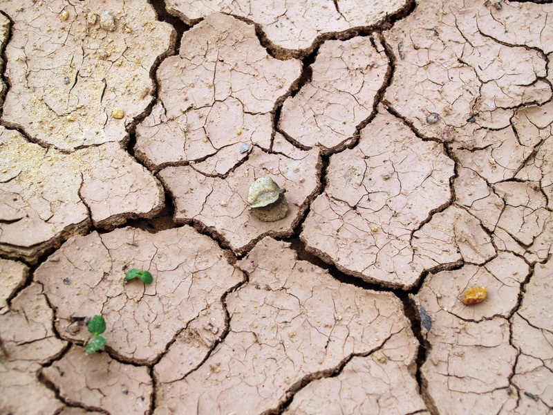 cracked, heat - Temperature, Crack, broken, dirt, global Warming, texture, Rough, brown, desert, brake, backgrounds, close-up, arid Climate, ground, day