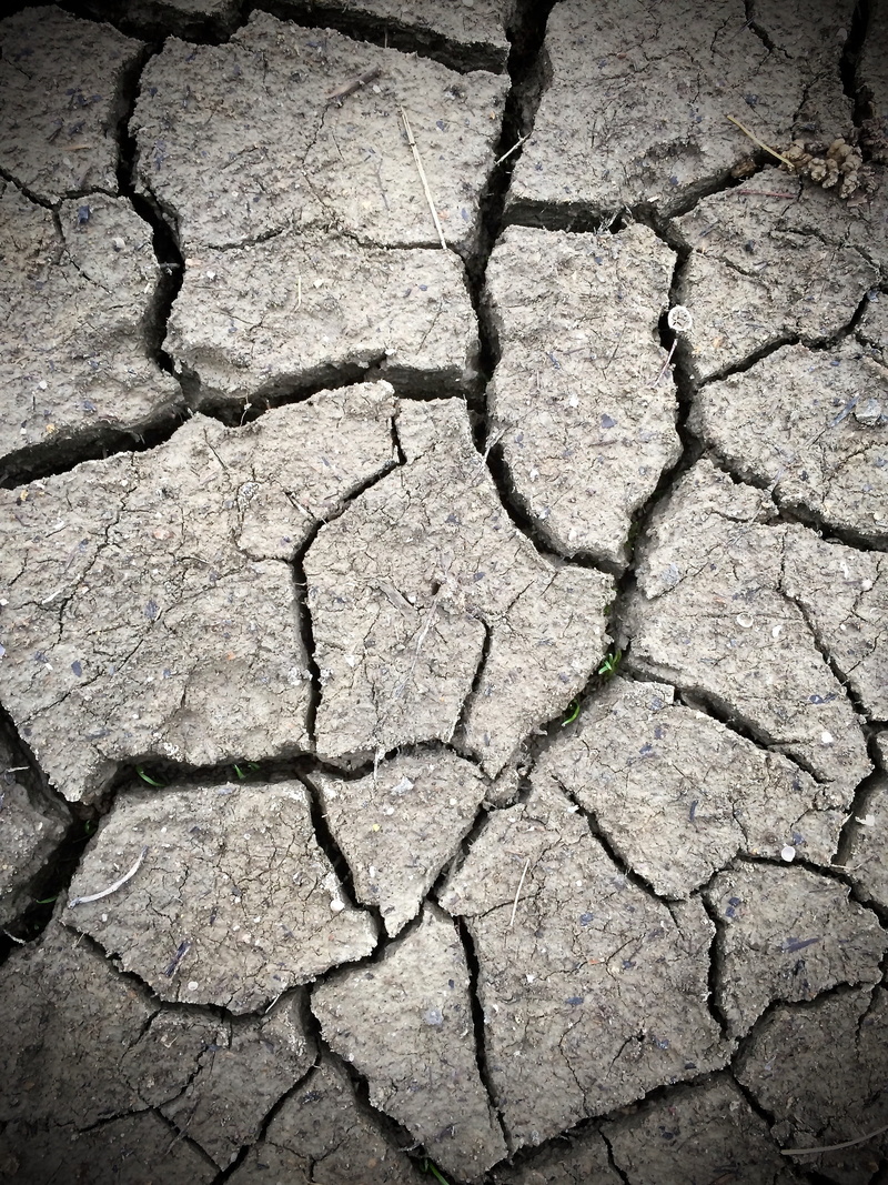 barren, dirt, climate, environmental Damage, high angle view, Soil, eroded, backgrounds, cracked, no people, environment, Dried, desert, scenics - nature