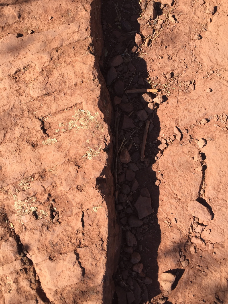 solid, dust, Earth, fiction, clay, land, Background, pattern, global, tree, drought, mud, red, plant, Nature, habitat, hiking, future, climate, textured