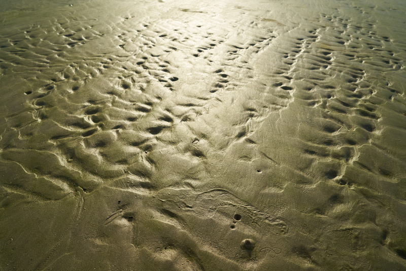 color image, environmental, no people, infertility, high angle view, full frame, water, day, brown, nobody, wet, pattern, sand, textured, nature, background
