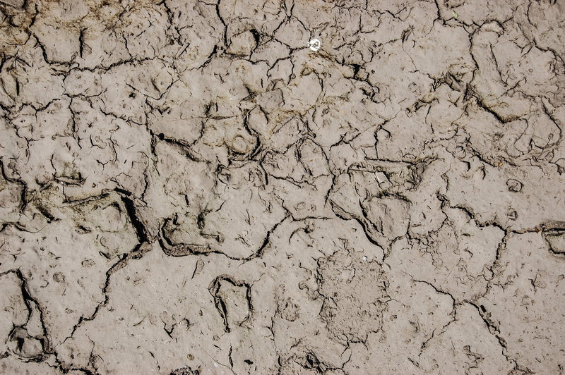 backgrounds, day, textured effect, the background, land, outdoors, dry, dirty, no people, heat - Temperature, 2K, warming Up, textured, desert, clay, barren