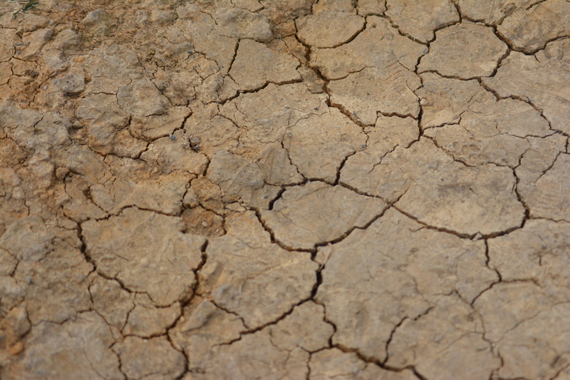 full frame, land, textured effect, natural Disaster, backgrounds, effect, mud, scenics - nature, heat - Temperature, cracked, extreme terrain, day, pattern