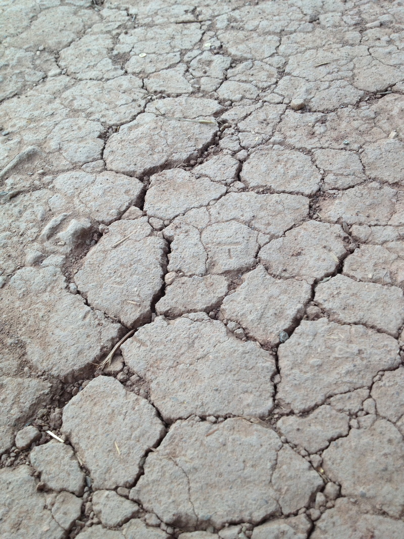 dirt, surface, heat, 2K, mud, drought, no people, global, outdoors, breaking, dust, warming, rough, close-up, ground, scenics - nature, extreme terrain