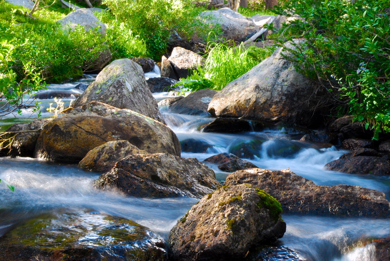 rock - Object, Wind River, freshness, green, photo, outdoors, river, water, forest, nature, waterfall, landscape, wind, Stream, wind  river, tree, shrubs