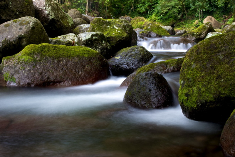 long exposure, scenics, waterfall, stream, nd, taytay, view, explored, flowing Water, river, water, moss, forest, stone, waterfalls, scenery, rock - Object