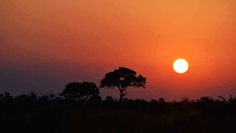 idyllic, africa, silhouette, tranquility, photos, scenics - nature, no people, sunset, sky, glow, south africa, orange color, safari, sun, tranquil scene