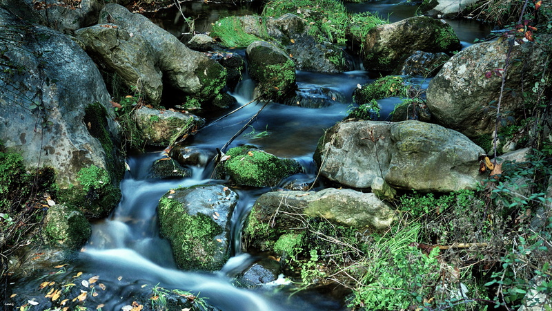 Aire libre, river, green Color, rock - Object, camino, Sony, landscape, cascade, piedras, rio  corriente, moss, tree, rocks, outdoors, A77, water, scenics