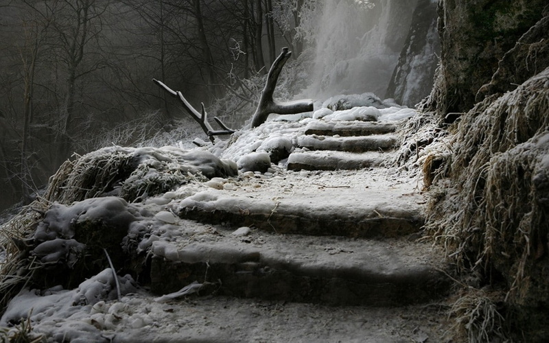 solid, plant, ice, Germany, root, winter, snow, driftwood, land, beauty in nature, day, dead plant, waterfall, trees, stairs, tranquility, frost, wood