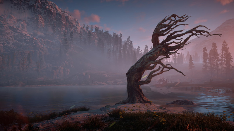 dead plant, non-urban scene, PlayStation 4, sunset, idyllic, lake, sky, scenics - nature, 1080P, remote, no people, tree, tranquility, growth, cloud - sky