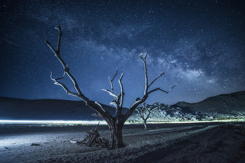 universe, sky, 1080P, environment, arid climate, tranquility, scenics - nature, bare tree, tranquil scene, landscape, trees, no people, galaxy, beauty in nature