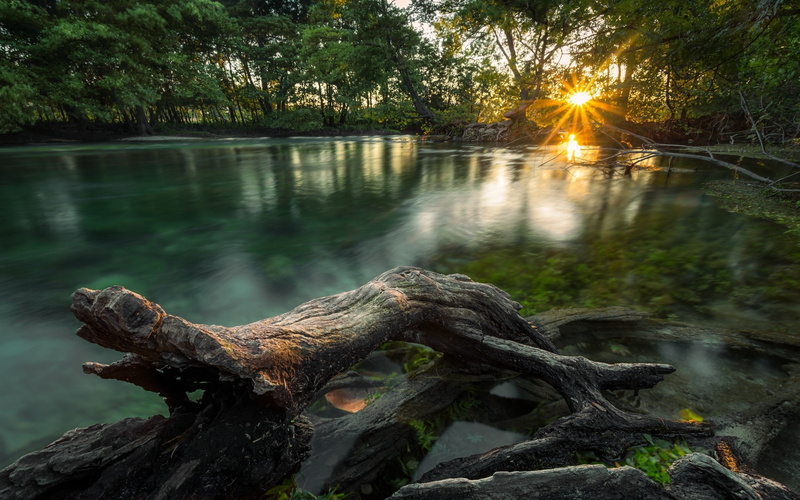 log, reflection, tree, no people, tranquility, plant, beauty in nature, sunset, landscape, dead plant, driftwood, sunlight, timber, bark, scenics - nature