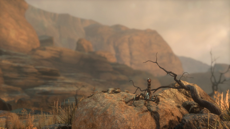 no people, dead plant, arid climate, focus on foreground, environment, 1080P, rock - object, climate, rock, video games, non-urban scene, land, nature
