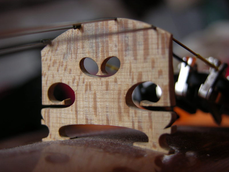 string instrument, musical instrument, outdoors, macro, guitar, classic, selective focus, orchestra, brown, close-up, dust, shape, wood - material, violin