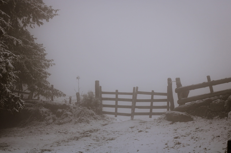 weather, grey, paranormal, nature, no people, barrier, plant, clear sky, beauty in nature, boundary, gate, scary, prat de bouc, day, winter, 5K, france