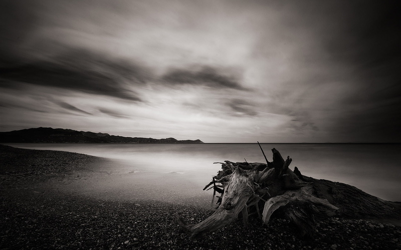 wood, white, sea, 1080P, water, dead, black, view, landscape