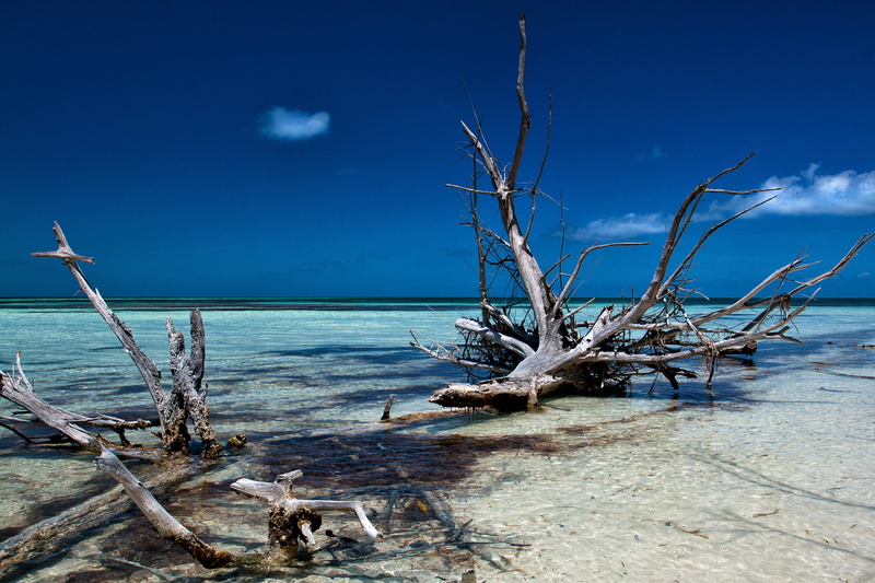 beach, coast, summer, coastline, no People, small, tropical, Canon, vacation, taken, bare tree, Image, Seascape, island, wood, horizon over water, sea