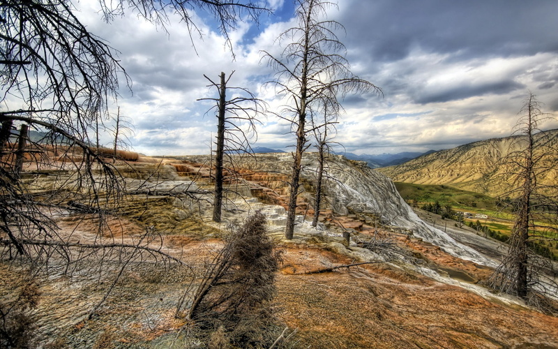 trees, 720P, mountains, dead, wood, colors