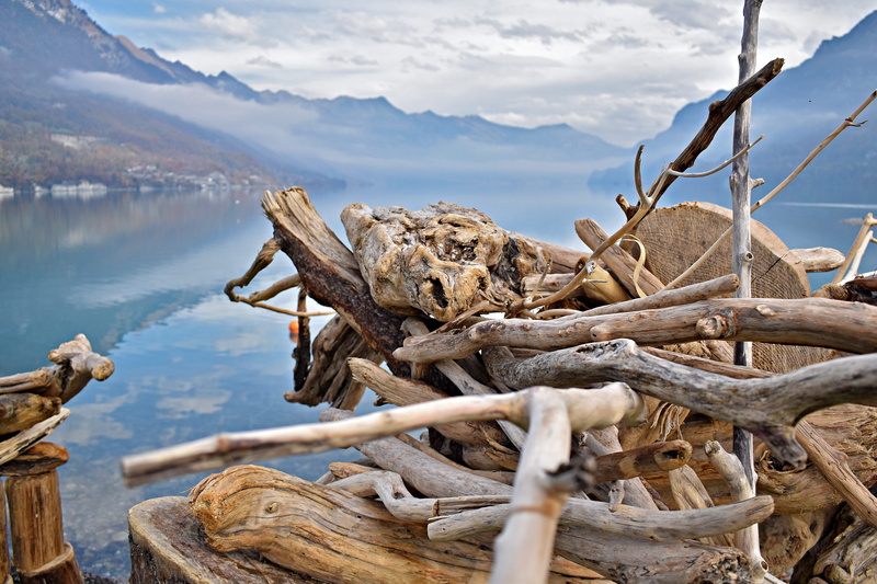 outdoors, mountains, nature, non-urban scene, dead plant, tranquil scene, wood - material, fog, landscape, alpine, mountain, outdoor, driftwood, switzerland