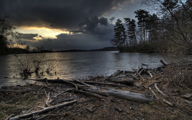 driftwood, non-urban scene, cloud - sky, beauty in nature, tranquil scene, nature screen backgrounds 1920x1200, water, no people, scenics - nature, land