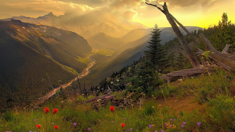 3d and abstract, river, 1080P, dead tree, valley, clouds, mountains