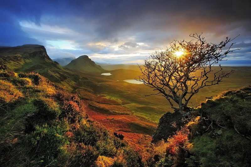 1080P, growth, Shrubs, land, clouds, cloud - sky, tree, tranquil scene, Scotland, sunlight, beauty in nature, sunrise, tranquility, Dead Trees, mountain range