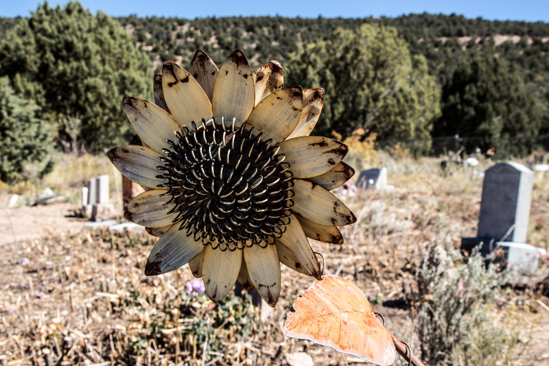 solid, utah, Grave, death, tree, beauty in nature, funeral, memorial, tombstone, ancient, headstone, tomb, nature, gravestone, bereavement, no people, summer