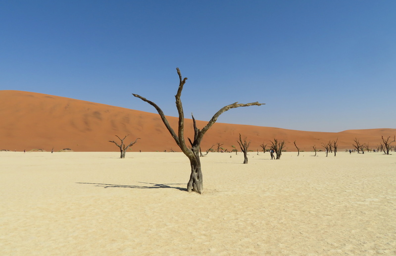 arid climate, travel, africa, salt, namib, sand dune, screen, vlei, landscape, no people, environment, sand, background, beauty in nature, salar, scenics - nature
