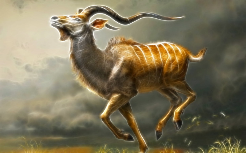 kudu, herbivorous, mammal, art, deer, full length, animal wildlife, southern africa, no people, sunlight, heads, 720P, greater, field, one animal, standing