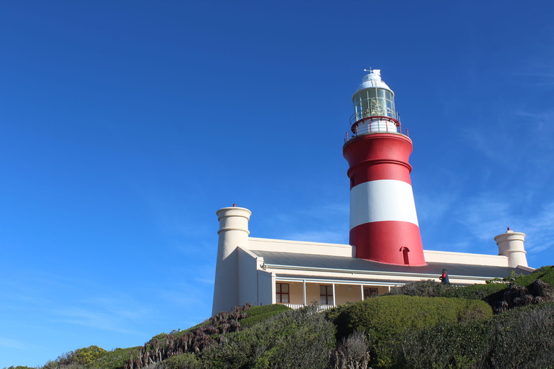 Lighthouse, blue, sky, protection, security, safety, built structure, red, building exterior, architecture, tree, copy space, 5K, low angle view, building