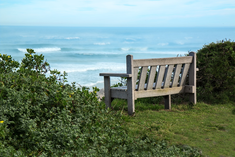 seaside, futon, scenics - nature, 5K, near, isolated, growth, outdoors, park, outdoor, southern cape, seascape, contentment, day, nature, view, environment