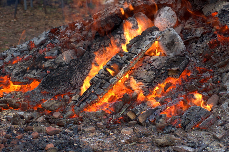 burnt, land, close-up, barbecue, embers, 2K, power in nature, coal, orange color, heiss, blaze, environment, fire - natural phenomenon, carbon, backgrounds