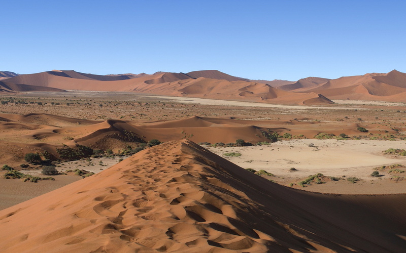 landscape, remote, adventure, arabia, drought, traces, scenics - nature, no People, sossusvlei, dry, climate, uSA, extreme Terrain, scenics, wilderness Area