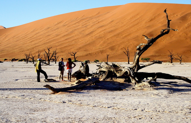 arid climate, shadow, tree, landscape, outdoors, day, orange, sky, 2K, remote, real people, sunlight, sossusvlei, stumps, sossusvlei sand dunes, scenics - nature