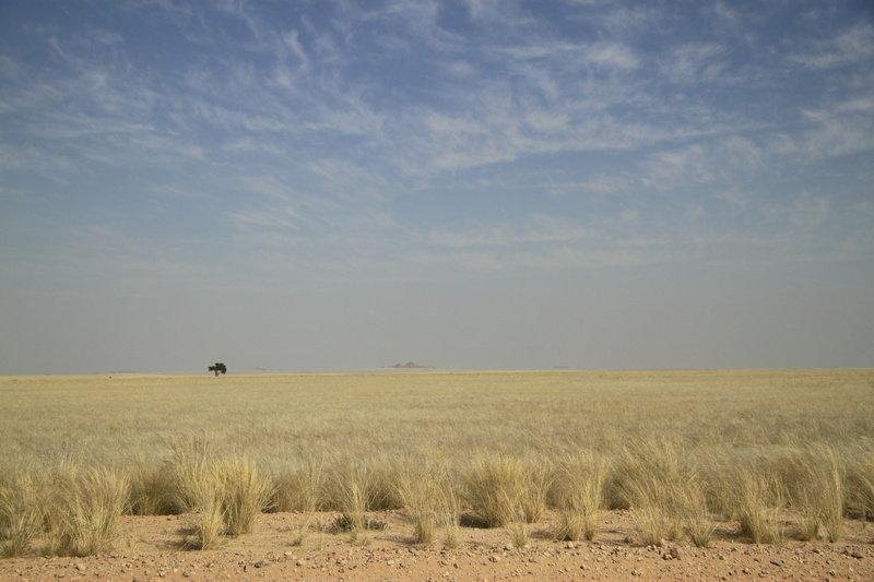 day, field, horizon, scenics - nature, no people, beauty in nature, africa, sky, horizon over land, namibia, environment, landscape, tranquility, nature