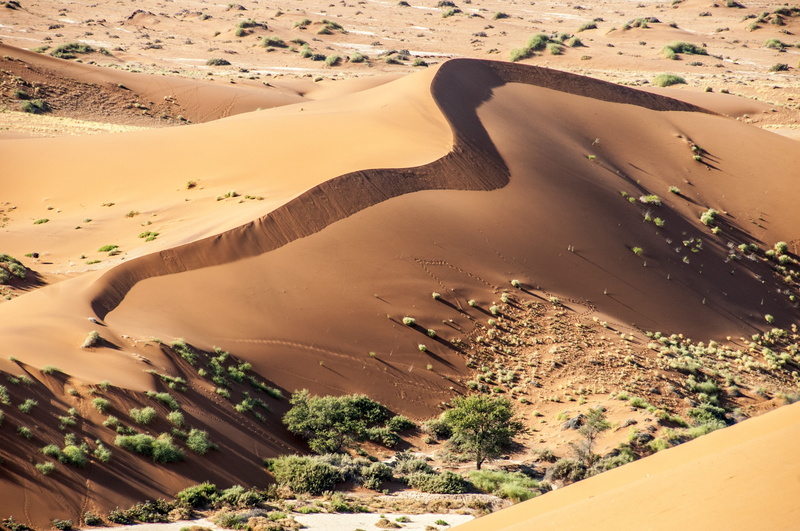 landscape, land, day, plant, namib edge, scenics - nature, 4K, arid climate, beauty in nature, wolwedans, dunes, climate, no people, nature, aerial view