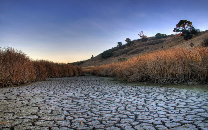 grass, dry, tranquil Scene, dead earth, non-urban scene, rock, morning, nature, remote, plant, desert, water, beauty In Nature, tranquility, sky, vegetation