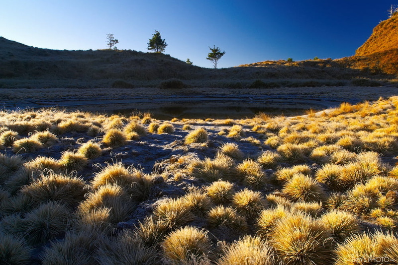 gray, concrete road, golden, brown, golden hour, D60, concrete, outdoors, sky, desert, nature, surrounded, CRW, Landscape, grass, scenics, 480P, hour