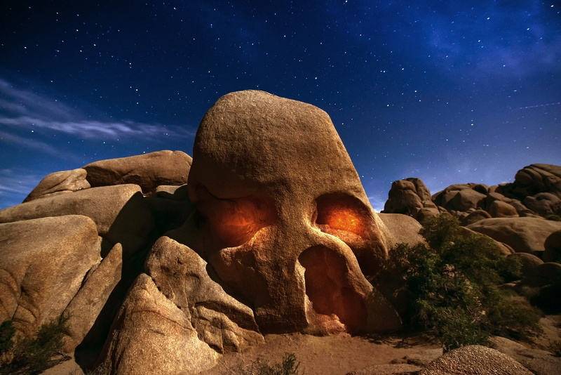 desert, tree, joshua, Skull, night, USA, stars, 1080P, Joshua tree, sky, California, rock, light, bushes