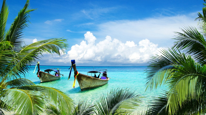 4K, Tropical Beach, Boats, Island, 4K, Coconut trees