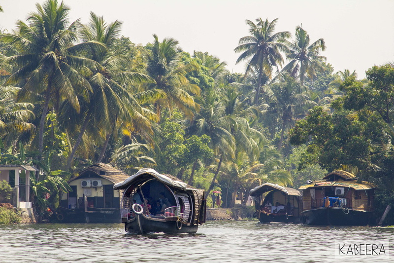 transportation, waterfront, no people, kumarakom, built structure, water, kerala, 4K, growth, mode of transportation, lake, houseboats, coconut palm tree